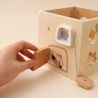 5-in-1 Multifunctional Cube